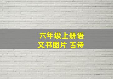 六年级上册语文书图片 古诗